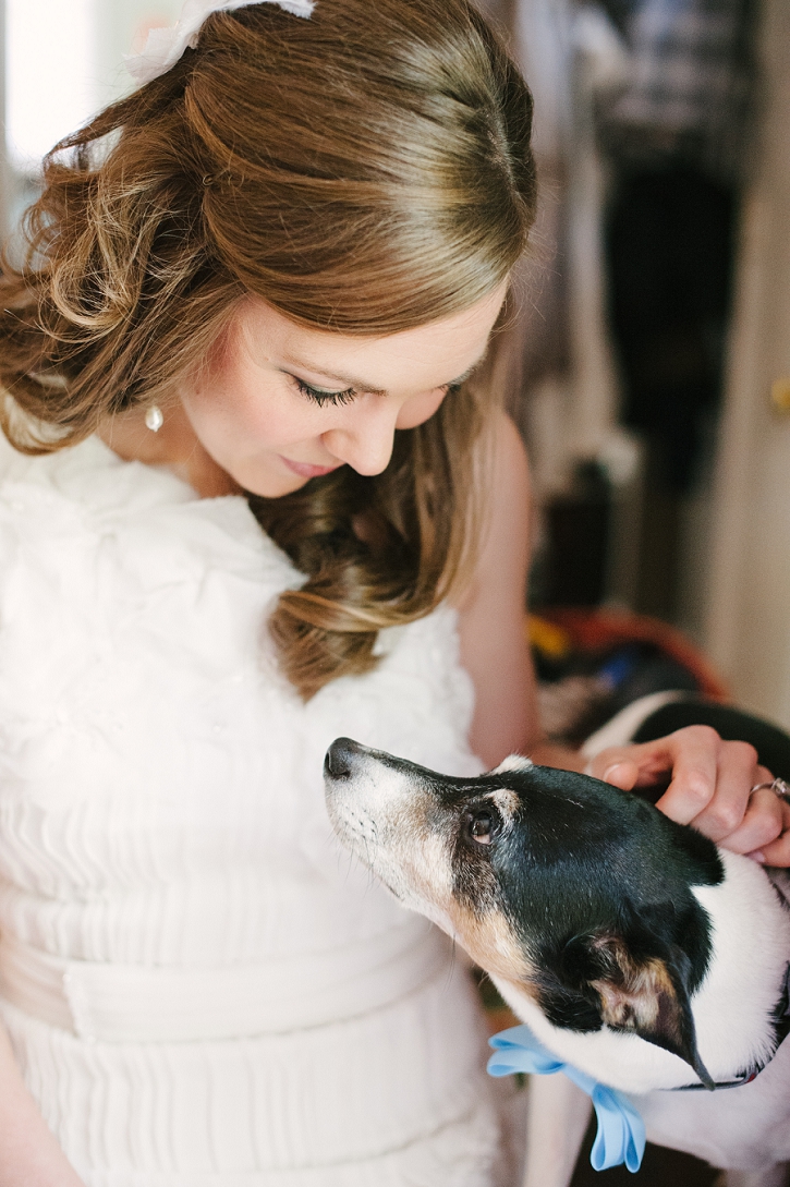 Including Pets in Your Wedding - Tips for the Bride and Groom